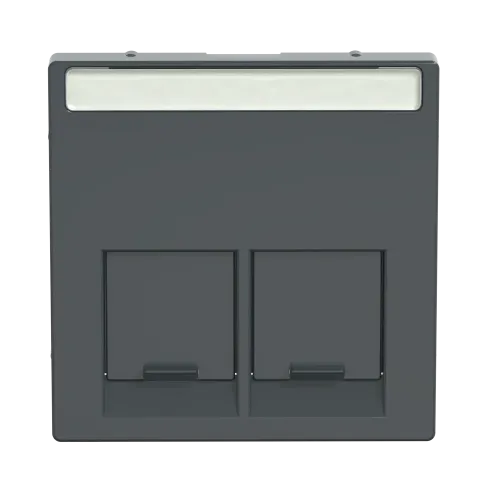 Накладка компьютерной розетки RJ45, двойная, антрацит, Merten MTN466514