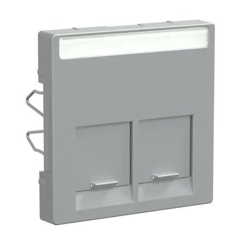 Накладка компьютерной розетки RJ45, двойная, алюминий, Merten MTN466560