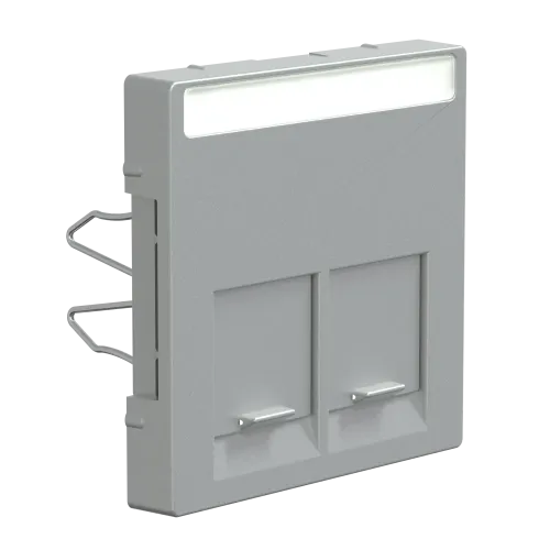 Накладка компьютерной розетки RJ45, двойная, алюминий, Merten MTN466560