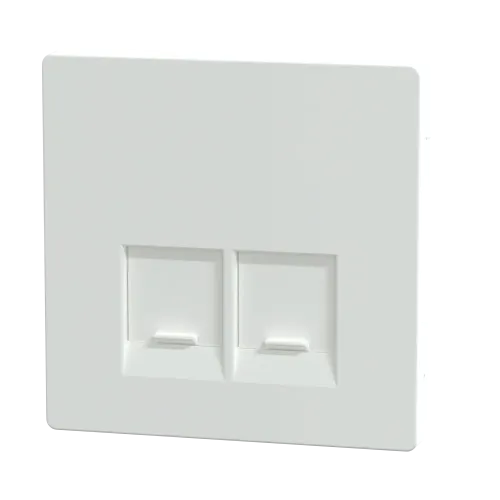 Накладка компьютерной розетки RJ45, двойная, белый лотос, Merten MTN4572-6035