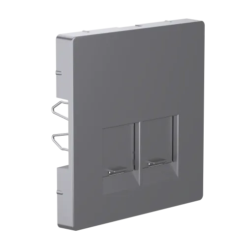 Накладка компьютерной розетки RJ45, двойная, нержавеющая сталь, Merten MTN4572-6036