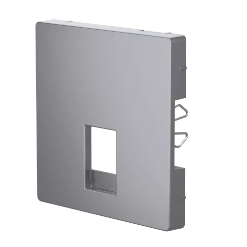 Накладка телефонной розетки RJ12, нержавеющая сталь, Merten MTN4215-6036