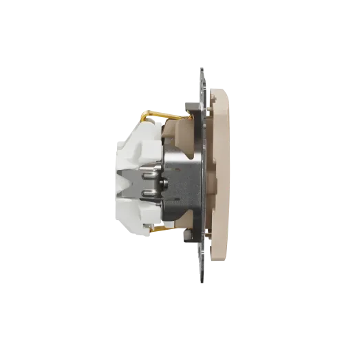 Розетка с заземлением, берёза, Sedna Design Schneider Electric SDD180022U