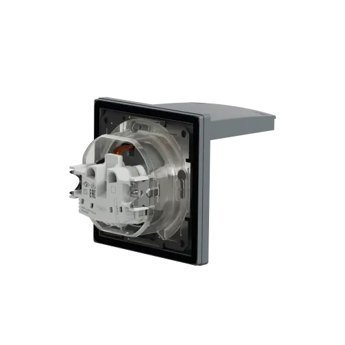 Розетка вологозахищена IP44 із заземленням, сталь, EPH3100362 Schneider Asfora