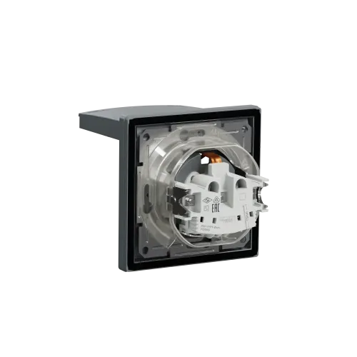Розетка вологозахищена IP44 із заземленням, сталь, EPH3100362 Schneider Asfora