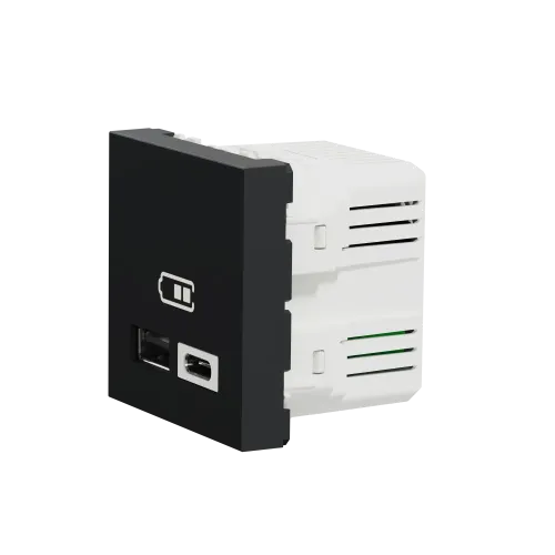 Розетка USB для зарядки, тип A + C , антрацит, 2 модуля, Unica New Schneider NU301854