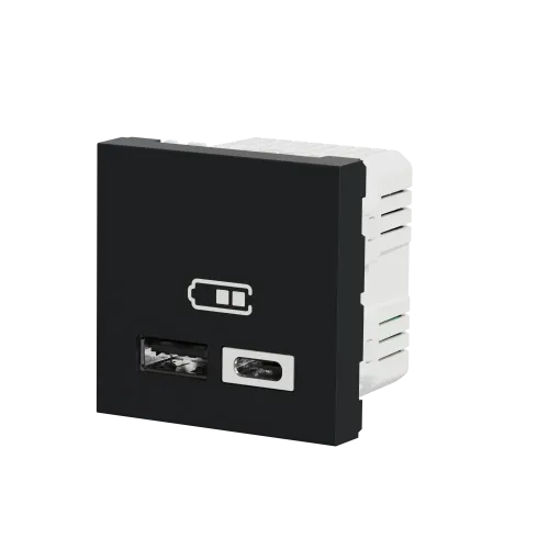 Розетка USB для зарядки, тип A + C , антрацит, 2 модуля, Unica New Schneider NU301854