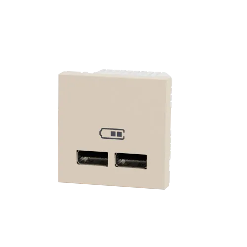 Розетка USB для зарядки, двойная, бежевый, 2 модуля, Unica New Schneider NU341844