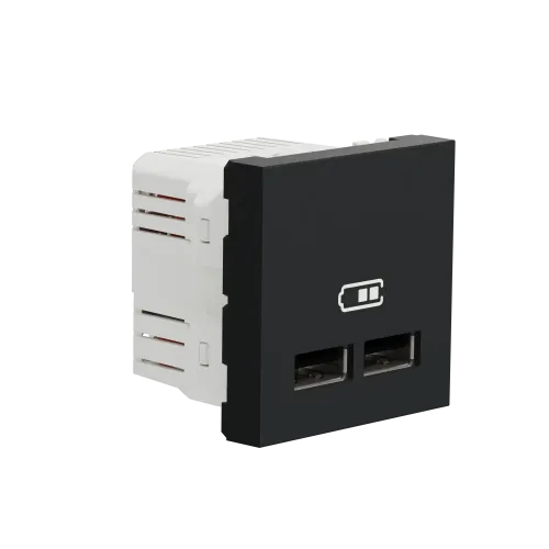 Розетка USB для зарядки, двойная, антрацит, 2 модуля, Unica New Schneider NU341854