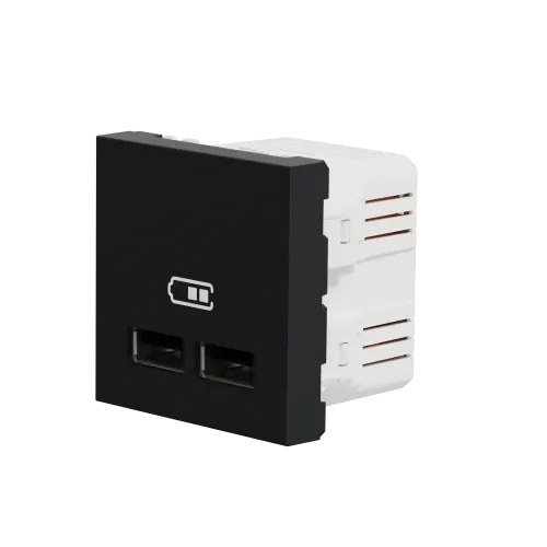 Розетка USB для зарядки, двойная, антрацит, 2 модуля, Unica New Schneider NU341854
