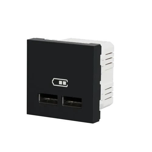 Розетка USB для зарядки, двойная, антрацит, 2 модуля, Unica New Schneider NU341854