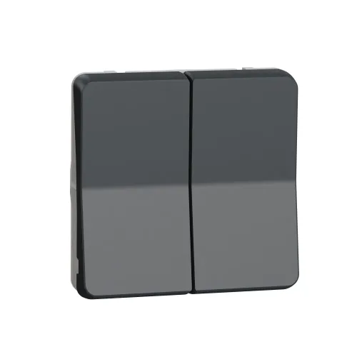 Двухклавишный переключатель IP55, черный, Mureva Styl Schneider MUR35019