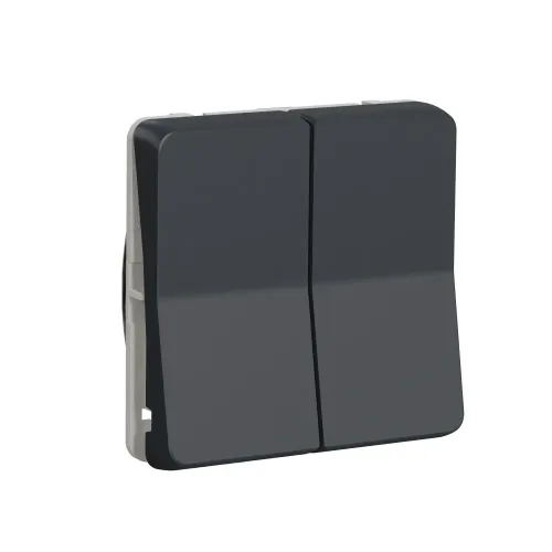 Двухклавишный переключатель IP55, черный, Mureva Styl Schneider MUR35019