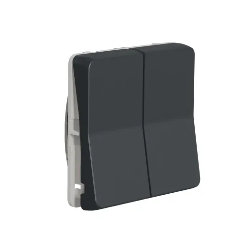 Двухклавишный переключатель IP55, черный, Mureva Styl Schneider MUR35019