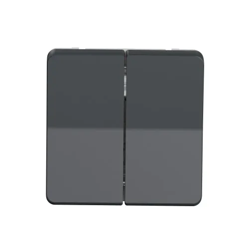 Двухклавишный переключатель IP55, черный, Mureva Styl Schneider MUR35019