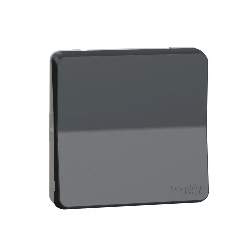 Перекрестный переключатель IP55, черный, Mureva Styl Schneider MUR35020