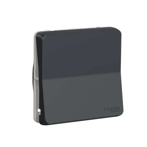 Перекрестный переключатель IP55, черный, Mureva Styl Schneider MUR35020