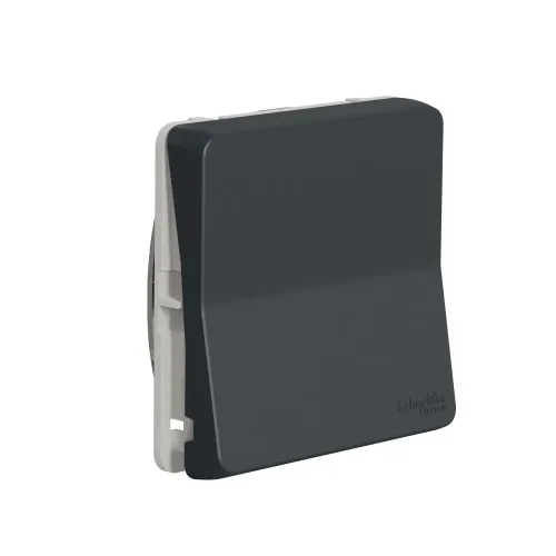Перекрестный переключатель IP55, черный, Mureva Styl Schneider MUR35020