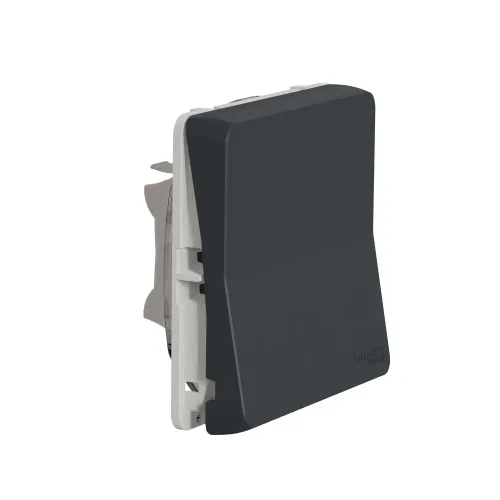 Перекрестный переключатель IP55, черный, Mureva Styl Schneider MUR35020