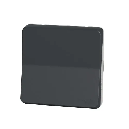 Перекрестный переключатель IP55, черный, Mureva Styl Schneider MUR35020