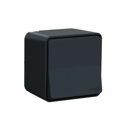 Переключатель накладной IP55, черный, Mureva Styl Schneider MUR35021