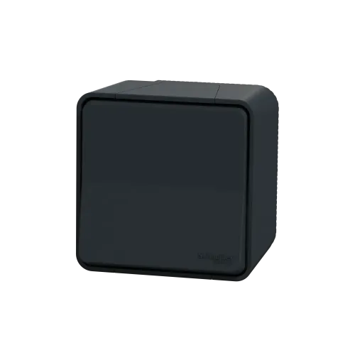 Переключатель накладной IP55, черный, Mureva Styl Schneider MUR35021
