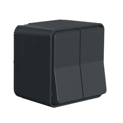 Двухклавишный переключатель накладной IP55, черный, Mureva Styl Schneider MUR35022