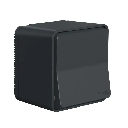 Перекрестный переключатель накладной IP55, черный, Mureva Styl Schneider MUR35023