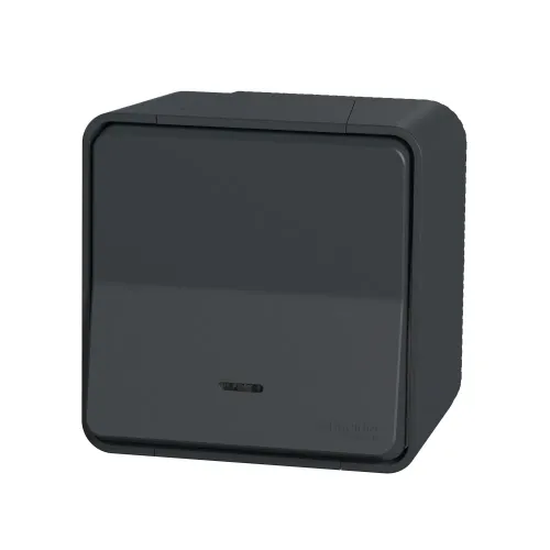 Переключатель с подсветкой накладной IP55, черный, Mureva Styl Schneider MUR35024