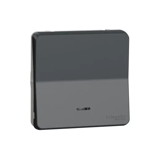 Переключатель с подсветкой IP55, черный, Mureva Styl Schneider MUR35025