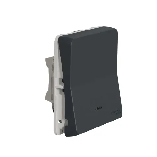 Переключатель с подсветкой IP55, черный, Mureva Styl Schneider MUR35025