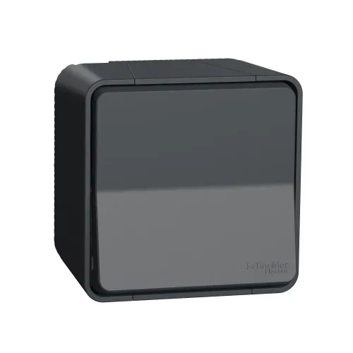 Кнопка накладная IP55, черный, Mureva Styl Schneider MUR35026