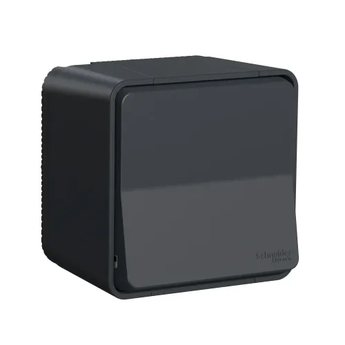 Кнопка накладная IP55, черный, Mureva Styl Schneider MUR35026