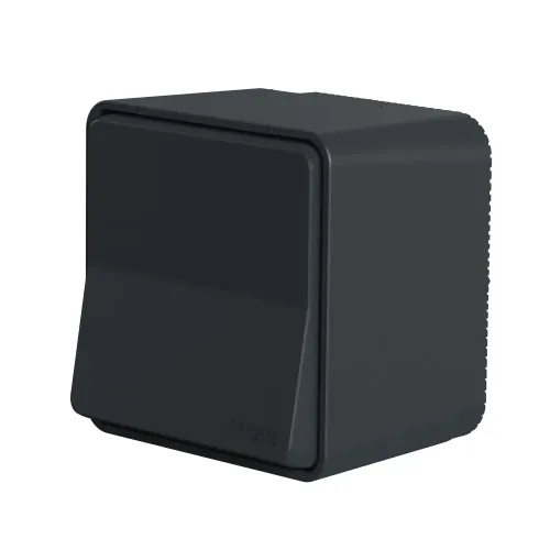 Кнопка накладная IP55, черный, Mureva Styl Schneider MUR35026