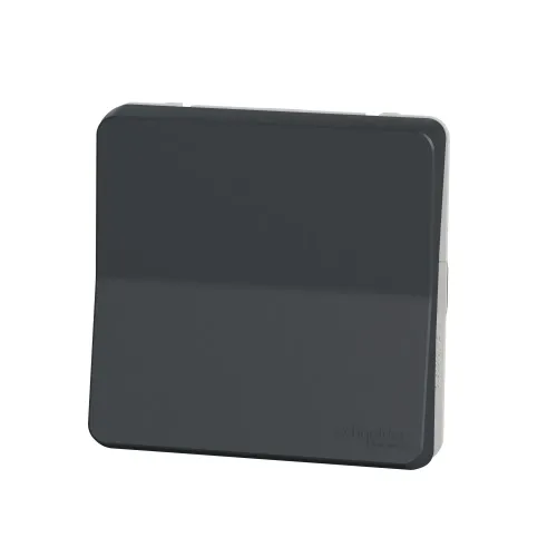 Кнопка IP55, черный, Mureva Styl Schneider MUR35027