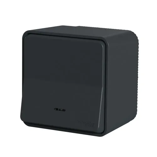 Кнопка с подсветкой накладная IP55, черный, Mureva Styl Schneider MUR35028