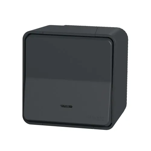 Кнопка с подсветкой накладная IP55, черный, Mureva Styl Schneider MUR35028