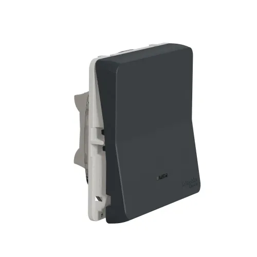 Кнопка с подсветкой IP55, черный, Mureva Styl Schneider MUR35127
