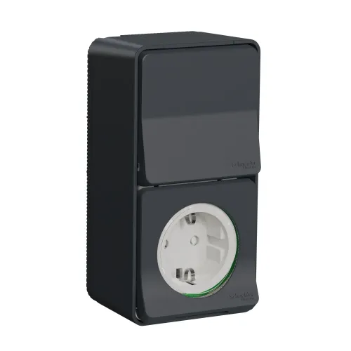 Блок из розетки 220В и переключателя, накладной IP55, черный, Mureva Styl Schneider MUR36024