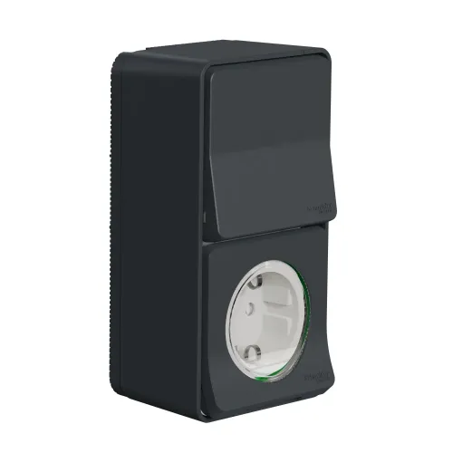 Блок из розетки 220В и переключателя, накладной IP55, черный, Mureva Styl Schneider MUR36024