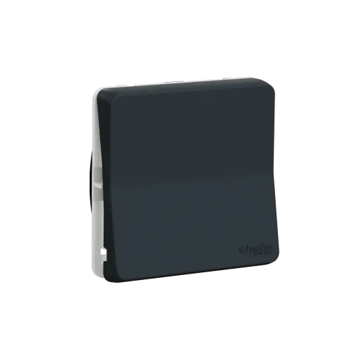 Переключатель IP55, черный, Mureva Styl Schneider MUR37021