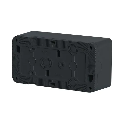 Коробка двойная для накладного монтажа IP55, черный, Mureva Styl Schneider MUR37914