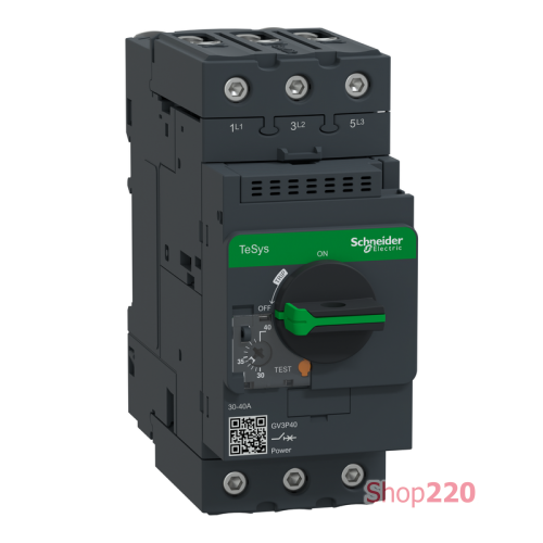 Автоматический выключатель термо-магнитный Everlink, 40 A GV3P40