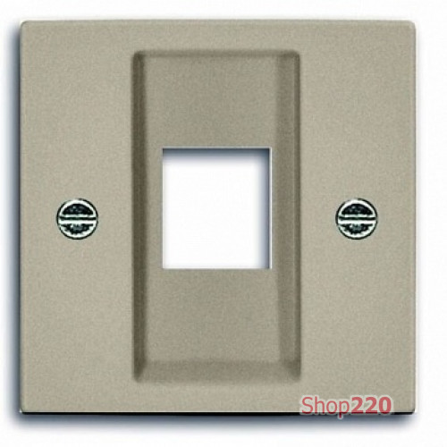 Накладка для компьютерной розетки, шампань, ABB 2561-93-507 Basic 55