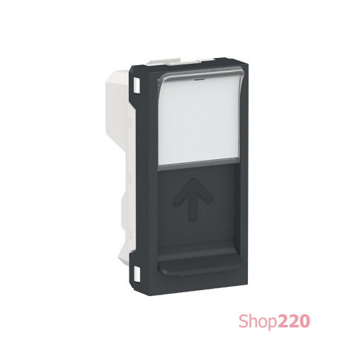 Центральная плата RJ45 Keystone / Systimax, антрацит, 1 модуль, Unica New Schneider NU946054