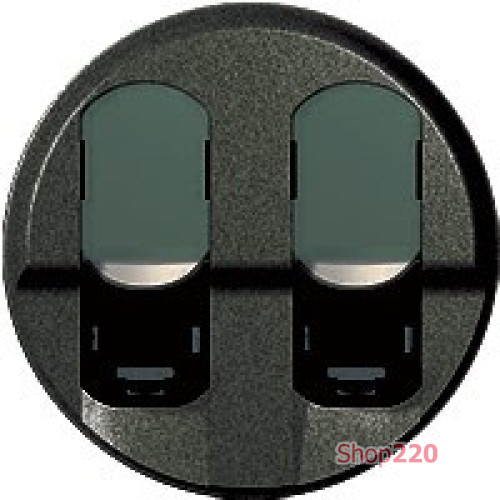 Панель двойной компьютерной розетки RJ45, графит, 67952 Legrand Celiane