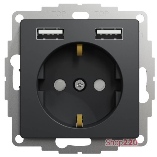 Розетка электрическая с USB тип А+А, черный, Sedna Design SDD114052