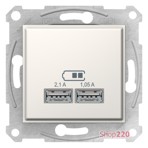 USB розетка, кремовый, SDN2710223 Schneider Electric Sedna