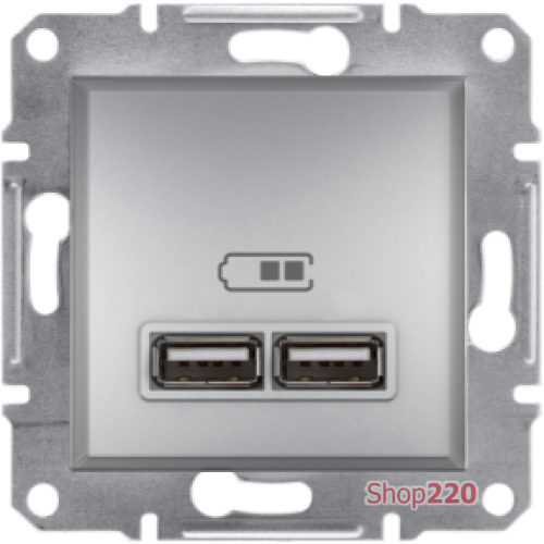 USB розетка, алюміній, EPH2700261 Schneider Electric Asfora