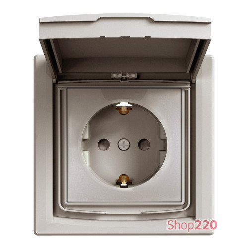 Розетка вологозахищена IP44 із заземленням, бронза, EPH3100369 Schneider Asfora